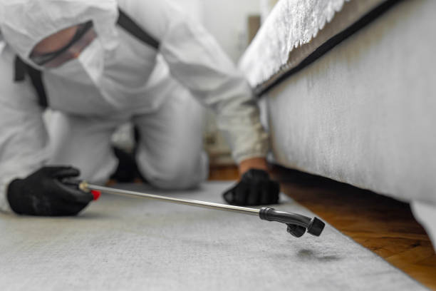 Professional Mosquito Control technician working in Plover, WI