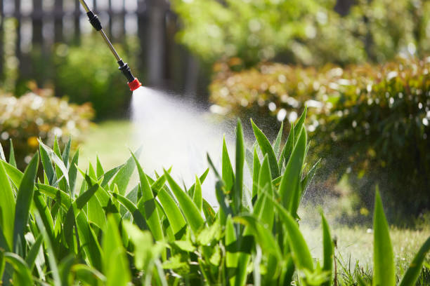 24/7 Emergency Mosquito Control experts in Plover, WI